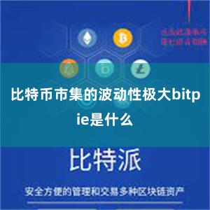 比特币市集的波动性极大bitpie是什么