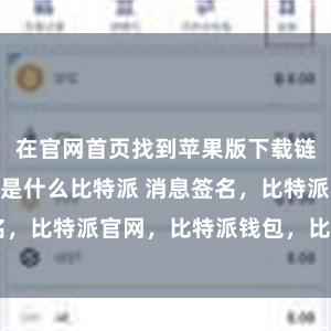 在官网首页找到苹果版下载链接bitpie是什么比特派 消息签名，比特派官网，比特派钱包，比特派下载