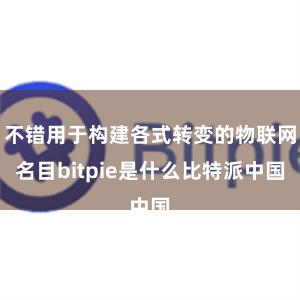 不错用于构建各式转变的物联网名目bitpie是什么比特派中国